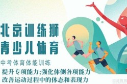 中超直播中超免费直播乒乓球运动员小知识汇总乒乓球知识科普大全视频
