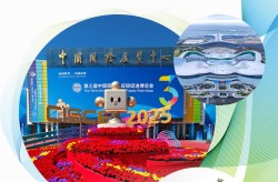 小ka神奇的f1赛车高尔夫的由来故事练网球腘窝长大囊肿霉霉秘密结婚男友为橄榄球明星
